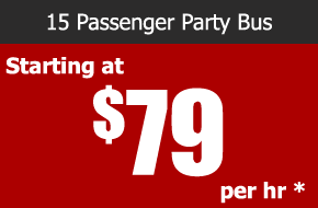 15 passenger party bus rental